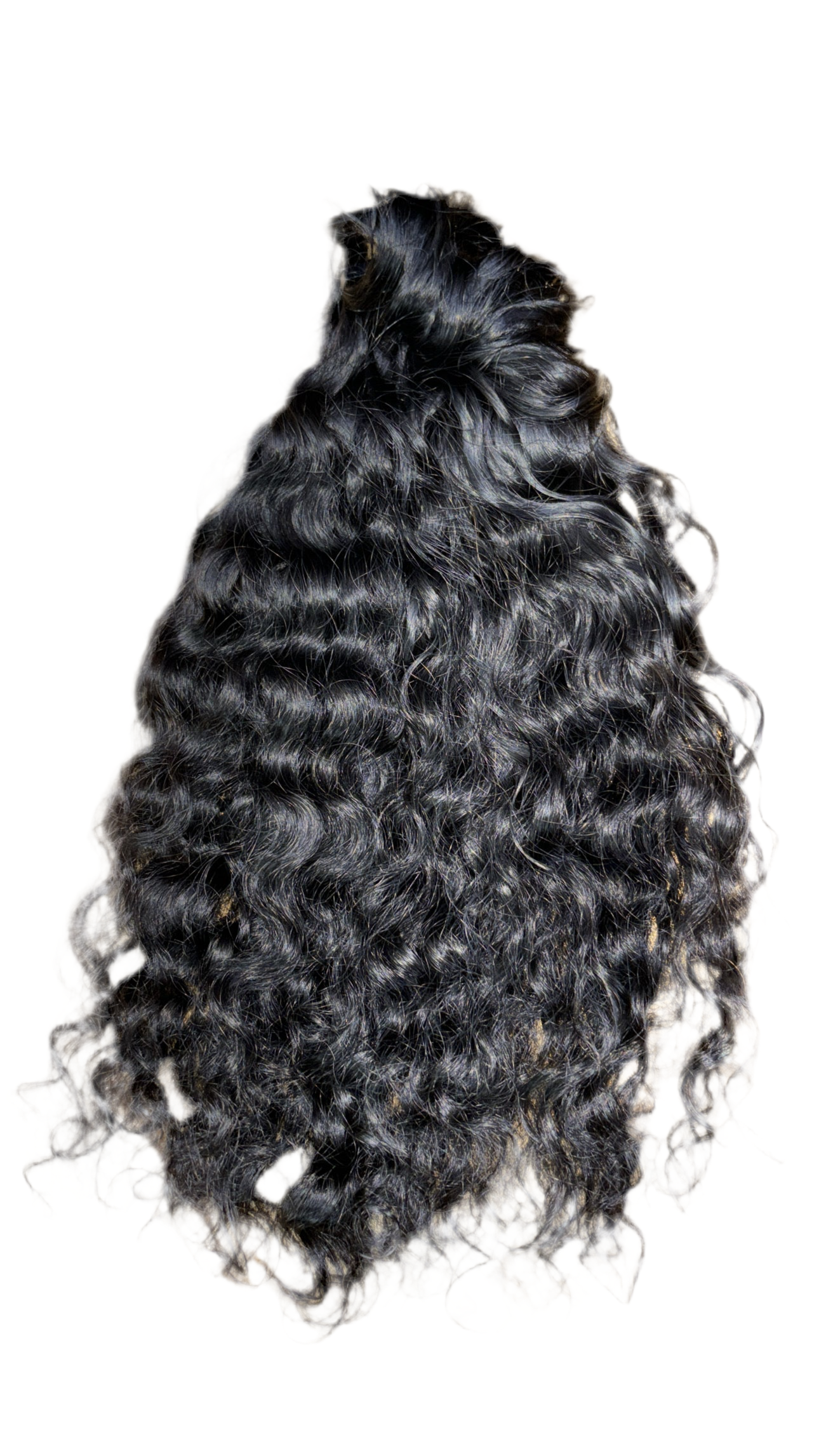 Raw and Curly Clip ins