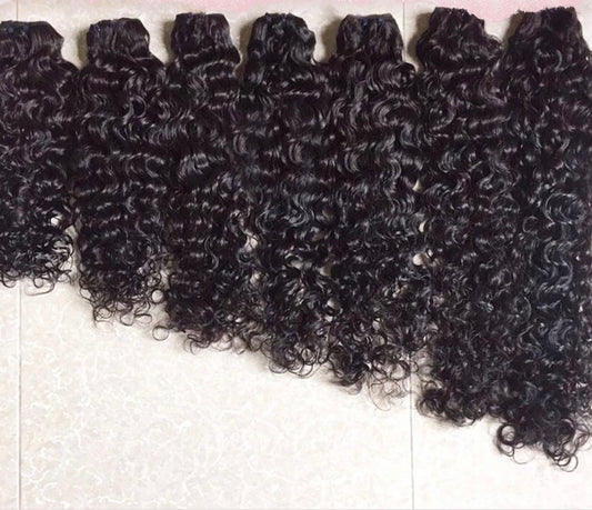 Burmese Curly
